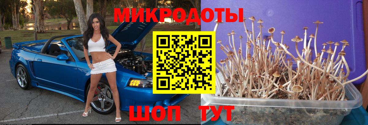 Белорецк  Псилоцибиновые грибы ЛСД  Вход с VPN 